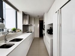 Park Infinia At Wee Nam (D11), Condominium #583958631